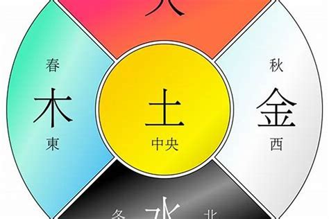 大象五行属什么|请问大象的五行属什么？